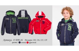 Спортивная ветровка для мальчика 