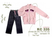 Велюровый костюм с аппликацией