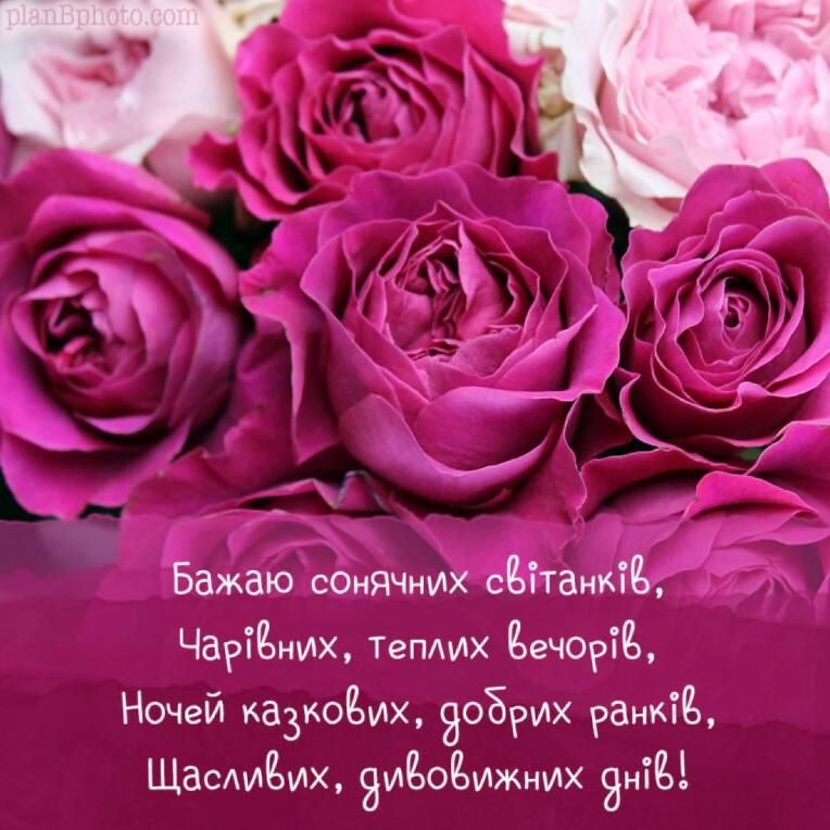 День народження подруги: 70+ красивих привітань - Колекція слів